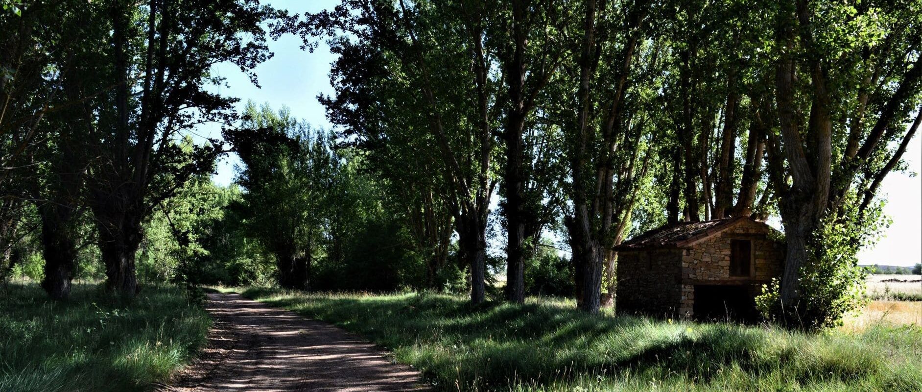 Ruta de la Virgen del Campo