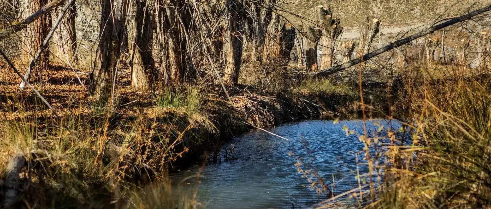 Sendero de Los Pozos